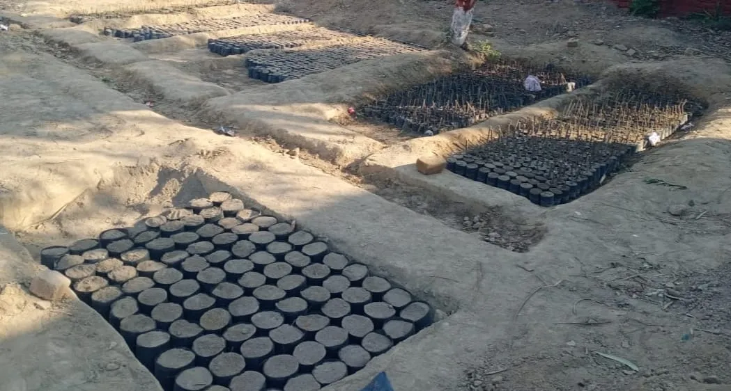 Green Seekers Activity